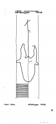 Wasserzeichen DE6300-PO-60288