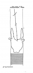 DE6300-PO-61417 - Typ:1 - ID: 54337 - Eintrag Nr.: 10 Wasserzeichen DE6300-PO-61417