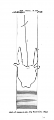 Wasserzeichen DE6300-PO-61431