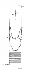 DE6300-PO-61435 - Typ:1 - ID: 54345 - Eintrag Nr.: 2 Wasserzeichen DE6300-PO-61435