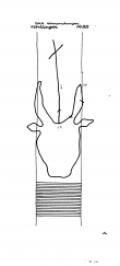 Wasserzeichen DE6300-PO-61452