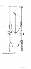 Wasserzeichen DE6300-PO-61454