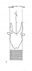 DE6300-PO-61456 - Typ:1 - ID: 54355 - Eintrag Nr.: 7 Wasserzeichen DE6300-PO-61456