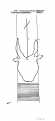 Wasserzeichen DE6300-PO-61457