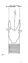 Wasserzeichen DE6300-PO-61460