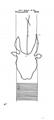 Wasserzeichen DE6300-PO-61471