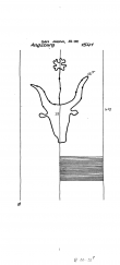 Wasserzeichen DE6300-PO-63223