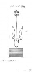 DE6300-PO-71731 - Typ:1 - ID: 55568 - Eintrag Nr.: 6 Wasserzeichen DE6300-PO-71731