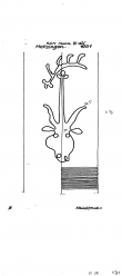 Wasserzeichen DE6300-PO-71849