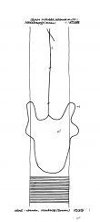 Wasserzeichen DE6405-PO-60352