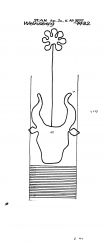 Wasserzeichen DE6405-PO-63054