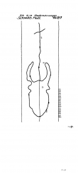 Wasserzeichen DE7575-PO-58871