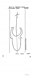 Wasserzeichen DE7575-PO-60205