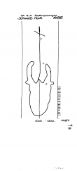 Wasserzeichen DE7575-PO-60234