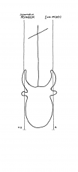 Wasserzeichen DE7605-PO-60965