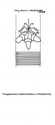 DE7635-PO-129823 - Typ:1 - ID: 59155 - Eintrag Nr.: 3 Wasserzeichen DE7635-PO-129823