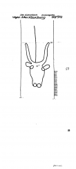 Wasserzeichen DE7635-PO-64636