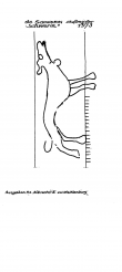 Wasserzeichen DE7635-PO-86376