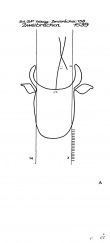 Wasserzeichen DE7800-PO-61175