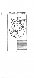 DE8085-PO-125107 - Typ:1 - ID: 63265 - Eintrag Nr.: 89 Wasserzeichen DE8085-PO-125107