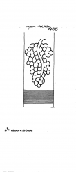 Wasserzeichen DE8085-PO-128918