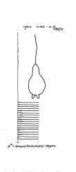 DE8085-PO-129856 - Typ:1 - ID: 63855 - Eintrag Nr.: 15 Wasserzeichen DE8085-PO-129856