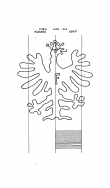 Wasserzeichen DE8085-PO-162172