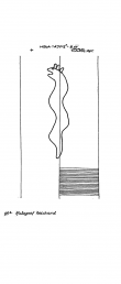 DE8085-PO-43087 - Typ:1 - ID: 68114 - Eintrag Nr.: 65 Wasserzeichen DE8085-PO-43087