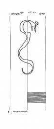 DE8085-PO-43121 - Typ:1 - ID: 68141 - Eintrag Nr.: 89 Wasserzeichen DE8085-PO-43121