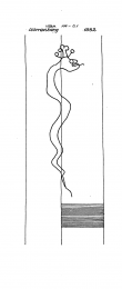 DE8085-PO-43153 - Typ:1 - ID: 68161 - Eintrag Nr.: 33 Wasserzeichen DE8085-PO-43153