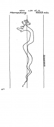 DE8085-PO-43158 - Typ:1 - ID: 68164 - Eintrag Nr.: 36 Wasserzeichen DE8085-PO-43158