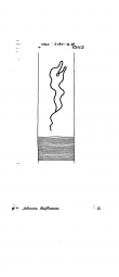 DE8085-PO-43162 - Typ:1 - ID: 68167 - Eintrag Nr.: 108 Wasserzeichen DE8085-PO-43162