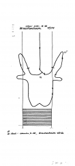 DE8085-PO-56399 - Typ:1 - ID: 69481 - Eintrag Nr.: 103 Wasserzeichen DE8085-PO-56399