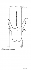 DE8085-PO-56400 - Typ:1 - ID: 69482 - Eintrag Nr.: 104 Wasserzeichen DE8085-PO-56400
