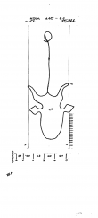 DE8085-PO-56512 - Typ:1 - ID: 69513 - Eintrag Nr.: 18 Wasserzeichen DE8085-PO-56512