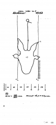 DE8085-PO-56528 - Typ:1 - ID: 69523 - Eintrag Nr.: 50 Wasserzeichen DE8085-PO-56528