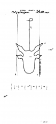 DE8085-PO-56557 - Typ:1 - ID: 69532 - Eintrag Nr.: 59 Wasserzeichen DE8085-PO-56557