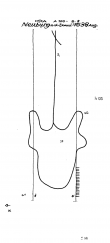 Wasserzeichen DE8085-PO-57438