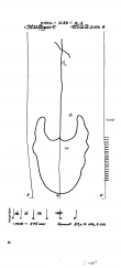 Wasserzeichen DE8085-PO-57866