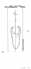 Wasserzeichen DE8085-PO-58905