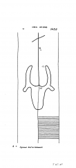 Wasserzeichen DE8085-PO-59500