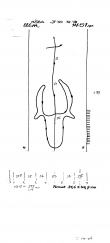 Wasserzeichen DE8085-PO-59542