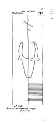 Wasserzeichen DE8085-PO-59828