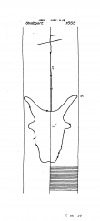 Wasserzeichen DE8085-PO-60948