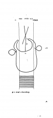 Wasserzeichen DE8085-PO-61007