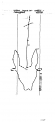 Wasserzeichen DE8085-PO-61358