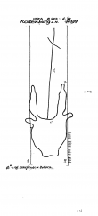 Wasserzeichen DE8085-PO-61419