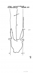 Wasserzeichen DE8085-PO-61436