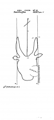 Wasserzeichen DE8085-PO-61476