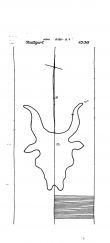 Wasserzeichen DE8085-PO-61542